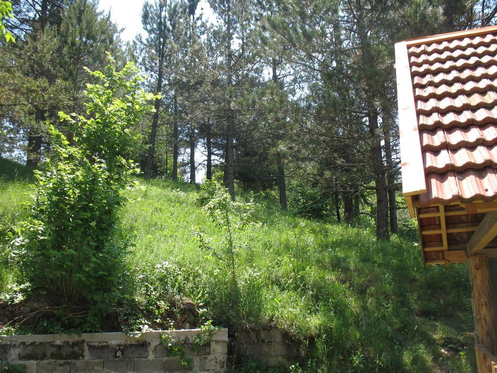 Holiday Home Lana Saborsko Cameră foto
